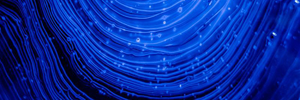 Where Material Information Meets Design, Innovation and Sustainability